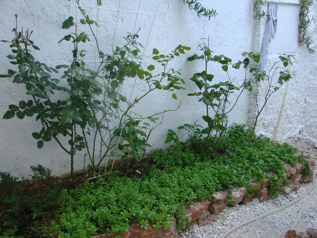 Apartman Restovic Bol Exterior photo